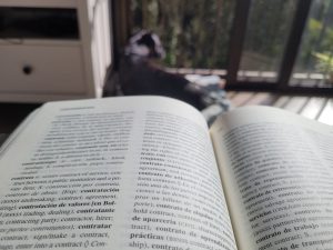 Los mejores acompañantes de cualquier traductor: el diccionario jurídico de Alacraz Varó y un perro.